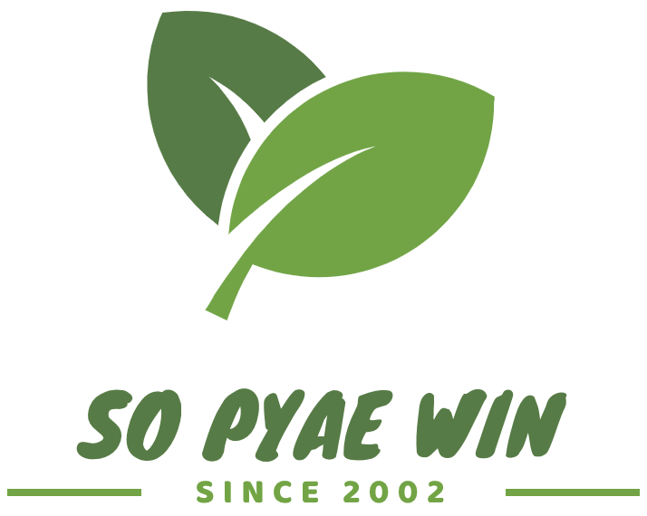So Pyae Win